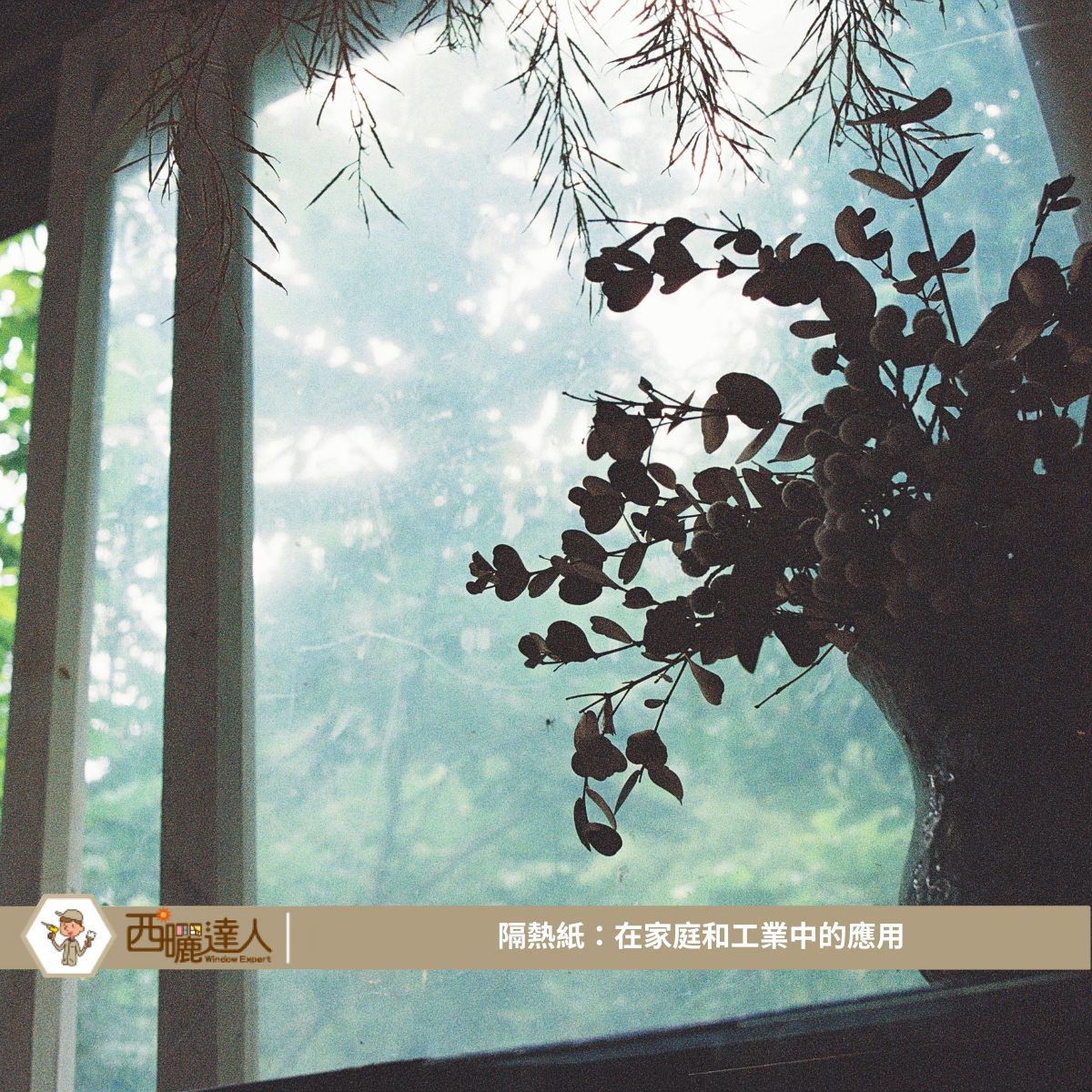 隔熱紙：在家庭和工業中的應用